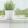 Rideaux en voile à œillets 2 pcs gris clair 637988637988