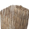 Clôture de jardin 500x80 cm roseau 637996637996