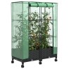 Jardinière de jardin avec couverture de serre et roues 2 pc PP 638046638046