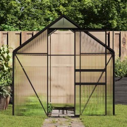 Serre avec cadre de base Anthracite Aluminium 4,75 m² 638120638120