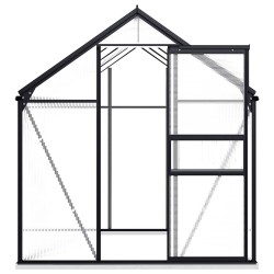 Serre avec cadre de base Anthracite Aluminium 4,75 m² 638120638120
