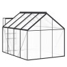 Serre avec cadre de base Anthracite Aluminium 4,75 m² 638120638120