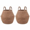 Pot de plante avec poignées 2 pcs Naturel Ø 22 x 20 cm 638135638135