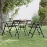 Table de jardin Ø80x72 cm Maille métallique Anthracite 638181638181