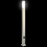 Borne lumineuse avec sortie 110 cm en acier inoxydable IP44 638199638199
