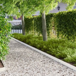 Bordure de Pelouse 30 pcs 100 x 12 cm Acier Blanc 638202638202