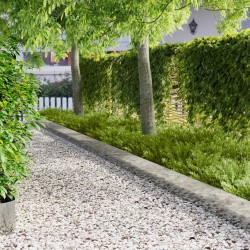 Bordure de Pelouse 20 pcs 103 x 25 cm Acier Argenté 638217638217