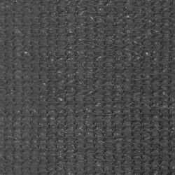 Store roulant d'extérieur 225 (l) x 140 (H) cm anthracite 638403638403