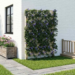 Trellis avec pique Blanc 99 x 6 x 165 cm PP 638429638429