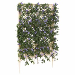 Trellis avec pique Blanc 99 x 6 x 165 cm PP 638429638429