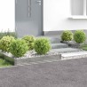 Bordure de Pelouse 4 pcs 100 x 60 x 20 cm Acier Argenté 638569638569