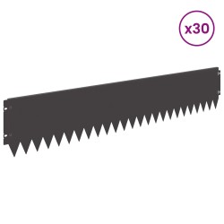Bordure de Pelouse 30 pcs 103 x 20 cm Acier Noir 638604638604