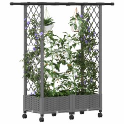 Lit Élevé avec Treillis et Toit Gris clair 122,5 x 40 x 127 cm 638649638649