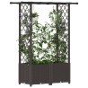 Lit Élevé avec Treillis et Toit Marron 124,5 x 40 x 136 cm PP 638652638652