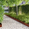 Bordure de Pelouse 30 pcs 103 x 20 cm Acier Rouillé 638685638685