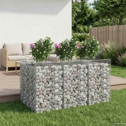 Lit surélevé gabion 2 pcs Argenté 638715638715