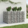 Lit surélevé gabion 2 pcs Argenté 638715638715