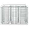 Lit surélevé gabion 2 pcs Argenté 638715638715