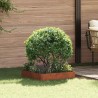 Bordure de Pelouse 60 x 60 x 20 cm Acier Rouillé 638723638723