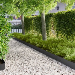Bordure de Pelouse 50 pcs 100 x 20 cm Acier Noir 638773638773