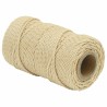 Corde de bateau 50 m 0.2 Naturel PP 638849638849