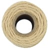 Corde de bateau 50 m 0.2 Naturel PP 638849638849