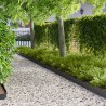 Bordure de Pelouse 30 pcs 103 x 15 cm métal Noir 638870638870