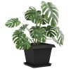 Plateau carré à fleurs 24 pcs Noir 36 x 36 x 2.5 cm Plastique 639082639082