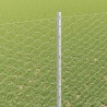 Clôture hexagonale avec poteau 25 x 1,5 m Acier galvanisé 639151639151