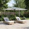 Parasol de jardin 200 x 300 cm Polyester Rectangulaire 639333639333