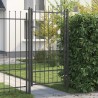 Porte de Clôture HORST 100 x 175 cm métal Noir Verrouillable 639407639407