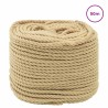 Corde de bateau 50 m 0.6 Naturel PP 639603639603