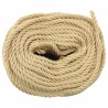 Corde de bateau 50 m 0.6 Naturel PP 639603639603
