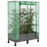 Jardinière de jardin avec couverture de serre et roues 2 pc PP 639746639746