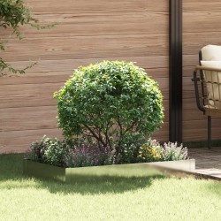 Bordure de Pelouse 100 x 60 x 20 cm Acier Argenté 639885639885