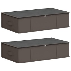 Boîte de rangement avec fenêtre transparente 2 pcs Gris 639910639910