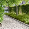 Bordure de Pelouse 10 pcs 100 x 15 cm Acier Argenté 639996639996