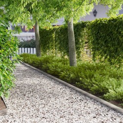 Bordure de Pelouse 10 pcs 103 x 10 cm Acier Argenté 640012640012