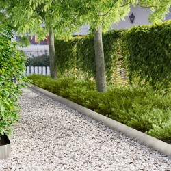 Bordure de Pelouse 10 pcs 100 x 12 cm Acier Argenté 640013640013