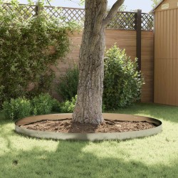 Bordure de Pelouse 10 pcs 100 x 20 cm Acier Argenté 640014640014