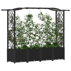 Lit Élevé avec Treillis et Toit Noir 204 x 40 x 138 cm PP 640097640097