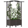 Lit Élevé avec Treillis et Toit Marron 125 x 40 x 144 cm PP 640098640098