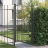 Porte de Clôture HORST 100 x 175 cm Acier Noir Verrouillable 640151640151