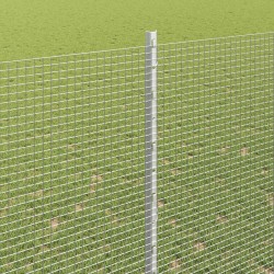 Clôture en fil soudé avec poteaux 10 x 1,6 m Acier galvanisé 640171640171