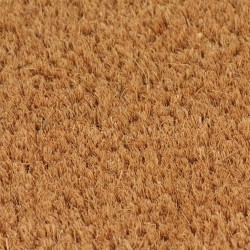 Tapis de porte 2 pcs naturel 40x60 cm fibre de coco touffeté 640194640194