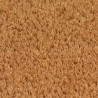 Tapis de porte 2 pcs naturel 40x60 cm fibre de coco touffeté 640194640194
