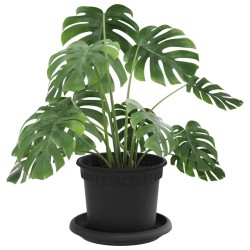 Pots de plantes 6 pcs Noir Ø 12,5 x 10 cm Plastique 640248640248