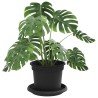 Pots de plantes 6 pcs Noir Ø 12,5 x 10 cm Plastique 640248640248