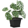 Pots de plantes 6 pcs Noir 28,5 x 28,5 x 22 cm Plastique 640278640278