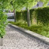 Bordure de Pelouse 10 pcs 100 x 22 cm Acier Argenté 640361640361